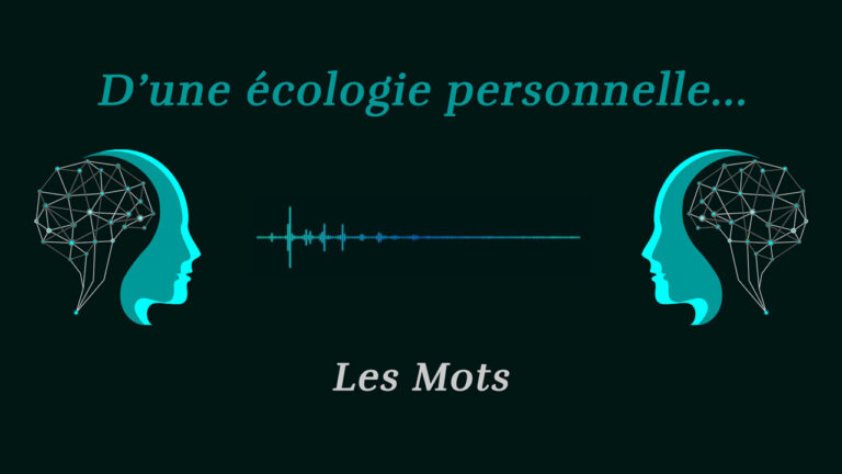 Lire la suite à propos de l’article D’une écologie personnelle Ep#6 – Podcast