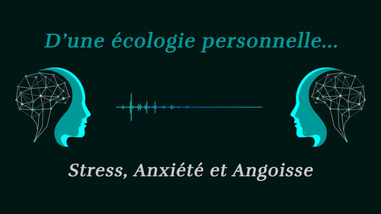 Lire la suite à propos de l’article D’une écologie personnelle Ep#10 – Podcast